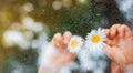 Raindrops glass village window, chamomile flowers eyes children`s hands look rain. Happy childhood holidays country.