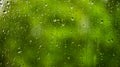 Raindrops on a glass window against a background of green foliage