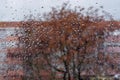 Raindrops on the glass. Window in March. Season specific. Portugal. Almada. Early spring.