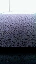 Raindrops on Matte Black Hood Royalty Free Stock Photo