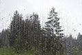 The raindrops running down the window Royalty Free Stock Photo