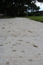 raindrops on the sidewalk