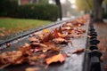 raindrops splashing on fallen leaves stuck in a gutter