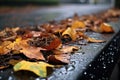 raindrops splashing on fallen leaves stuck in a gutter