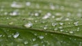 Raindrops Spread Over Royalty Free Stock Photo