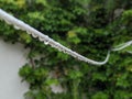 Raindrops on a washing line Royalty Free Stock Photo