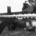 Raindrops on washing line Royalty Free Stock Photo