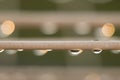 Raindrops on the washing line Royalty Free Stock Photo