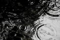 Raindrops on the water surface-black & white background Royalty Free Stock Photo