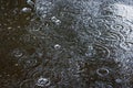 Raindrops on the water surface