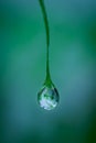 raindrops that will fall to the ground Royalty Free Stock Photo