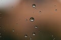 Raindrops on window glass close up. water drops abstract macro background Royalty Free Stock Photo