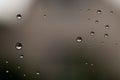 Raindrops on window glass close up. water drops abstract macro background Royalty Free Stock Photo