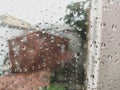 Summer rain on window. Blurred flowering rose bush behind glass of window with raindrops Royalty Free Stock Photo