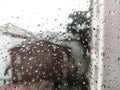 Summer rain on window. Blurred flowering rose bush behind glass of window with raindrops Royalty Free Stock Photo