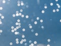 Raindrops on the window glass. Royalty Free Stock Photo