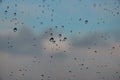 Raindrops on the window macro Royalty Free Stock Photo