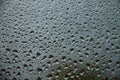 Raindrops on window