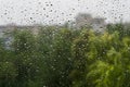 Raindrops on a window pane Royalty Free Stock Photo