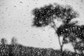 Raindrops on the window on a rainy day Royalty Free Stock Photo