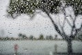 Raindrops on the window on a rainy day; tree on the shoreline of a lake in the background; California