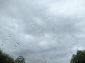 raindrops on the windshield of the car against the background of the sky and trees on the sides.