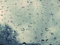 Raindrups keep falling on ... Royalty Free Stock Photo