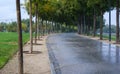 Rained wet path in park surrounded by grass Royalty Free Stock Photo