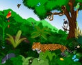 Rainforest with animals vector illustration. Vector Green Tropical Forest jungle with parrots, jaguar, tapir, harpy, monk