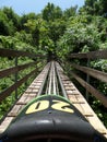 Rainforest Bobsled at Mystic Mountain Jamaica