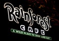 Rainforest cafe neono sign