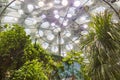 Rainforest of the California Academy of Sciences Royalty Free Stock Photo