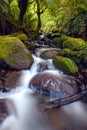 Rainforest Cascade Royalty Free Stock Photo