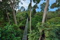 RAINFOREST DISCOVERY CENTRE