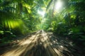 Through the rainforest with giant trees