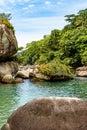 Rainforest invading the sea through the rocks