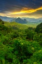 Rainforest of Khao Sok National Park at sunset, Thailand