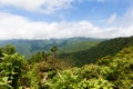 Rainforest landscape in Monteverde Costa Rica