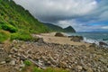 Rainforest meets the sea, West coast of South Island, New Zealand