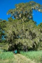 Lake against The dense rainforest at Mount Kenya Royalty Free Stock Photo