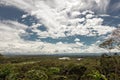 Rainforest in the Napo River's basin