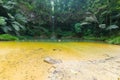 Rainforest natural pool and waterfall