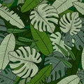 Rainforest seamless pattern. Modern exotic tropical palm leaves backdrop