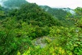 Rainforest in Tapanti national park, Costa Rica Royalty Free Stock Photo