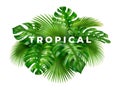 Rainforest tropical leaves 3D realistic background