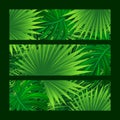 Rainforest tropical leaves vector illustration. Amazon foliage print for apparel, t-shirts designs and travel cards