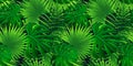 Rainforest vector background. tropical leaves illustration. vector exotic jungle plants, palms wallpaper. Repeated texture.