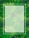 Rainforest vector frame. tropical plants illustration. Jungle background with exotic palms leaves, foliage texture. vertical