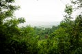 Rainforest View In Kakum National Park, Central Region, Ghana, Africa