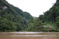 Rainforest Village